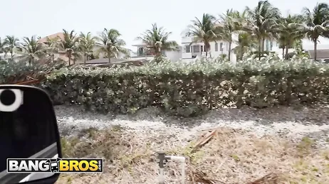 Oh mijn God, wat een enorme lul heeft die zwarte man... en hij wil hem in mijn kont stoppen...?