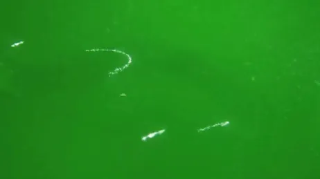 Mentre il ragazzo guarda la partita, sua madre fa sesso con un suo amico.