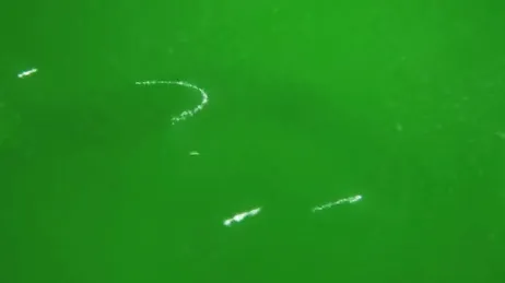 Diese Treffen mit Freunden enden meist mit XXX-Sex.