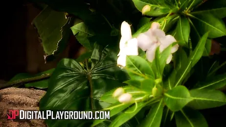 Marco Banderas en Marie Luv, seks midden in de jungle, wat een waanzinnige scène!!