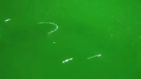 Mi chico me la acaba clavando en mitad del campo, que buena polla tiene