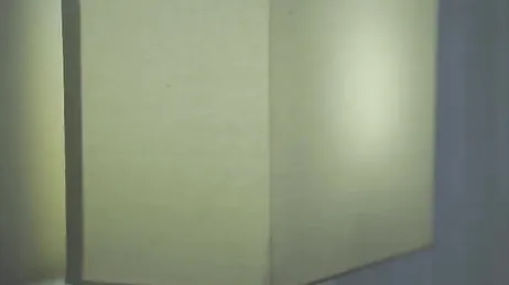 No puedo compartir piso con mi hermanastra, está demasiado buena