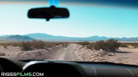 Un ragazzo molto attraente si è offerto di accompagnarmi a casa, il che è stato un bel gesto...