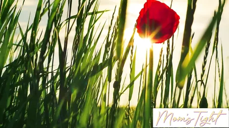 Sie scheint eingeschlafen zu sein, aber ich möchte es hineinlegen...