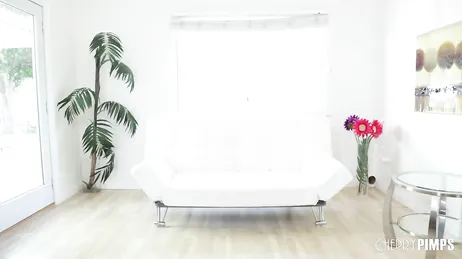 La sublime Dillion Harper écarte les jambes et se masturbe en visioconférence.