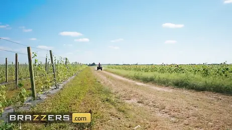 The new neighbor likes motorcycles, quad bikes, and big, hard cocks.